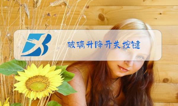 玻璃升降开关按键 更换图片
